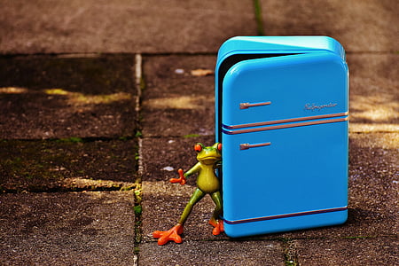 жаба, хладилник, синьо, фигура, Смешно, забавно, жаби