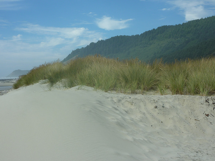 Oregon, Dune, Sand, Ocean, Beach, Tyynenmeren, Shoreline