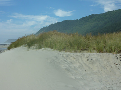 Oregon, dune, sable, océan, plage, du Pacifique, rivage