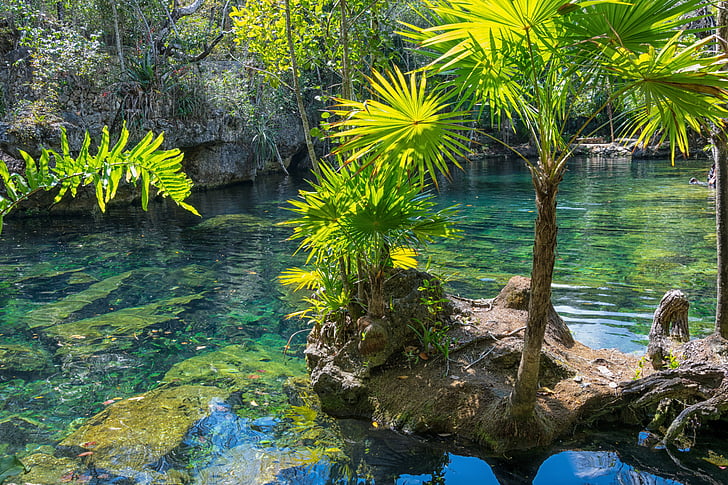 México, Yucatán, cenote, natureza, Verão, viagens, Dom