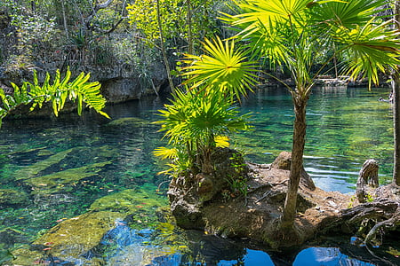 Mexikó, Yucatan, Cenote, természet, nyári, utazás, Dom