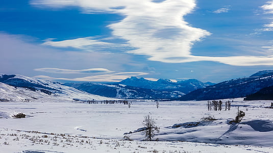 Yellowstone, Nationalpark, Reisen, Tourismus, Schnee, Winter, Eis
