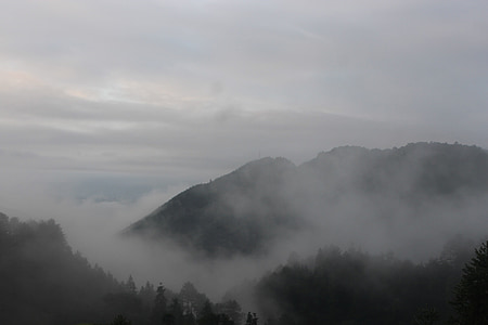 the smoky mountains, clouds, fog