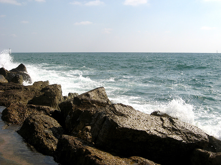 swimming, waves, rocks, shore, ocean, sea, seascape