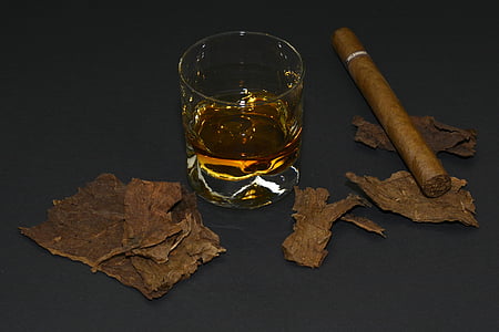 cygaro, liście tytoniu, kieliszek, whisky, napój, alkoholu, brandy