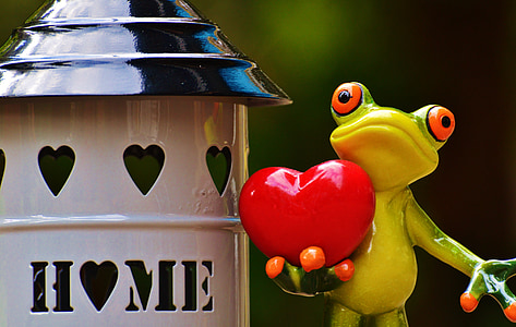 at home, beautiful, home, frog, cute, decoration, sweet
