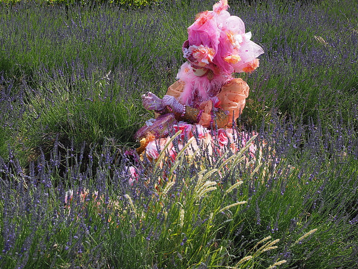 woman, costume, lavender field, headdress, panel, colorful, nature