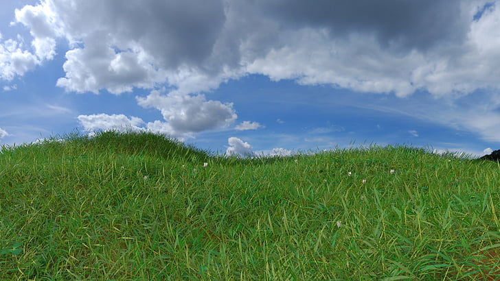 grass, horizon, landscape, graphic, clouds, blue, flowers