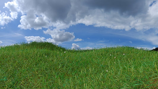 grass, horizon, landscape, graphic, clouds, blue, flowers
