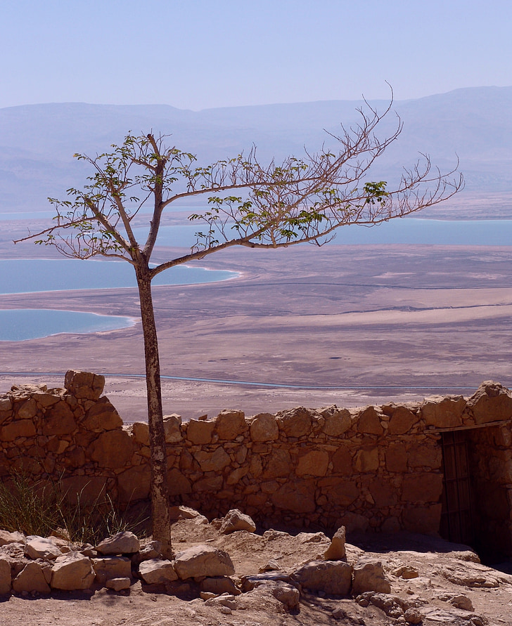 Döda havet, Israel, landskap, salt, resor, öster, mineral