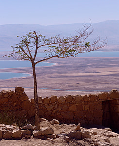 死海, 以色列, 景观, 盐, 旅行, 东, 矿产