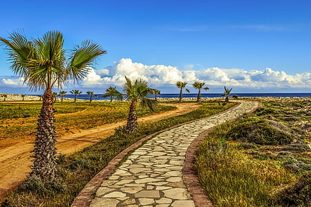 沿海的路径, 棕榈树, 海, 天空, 云彩, 地平线, 景观
