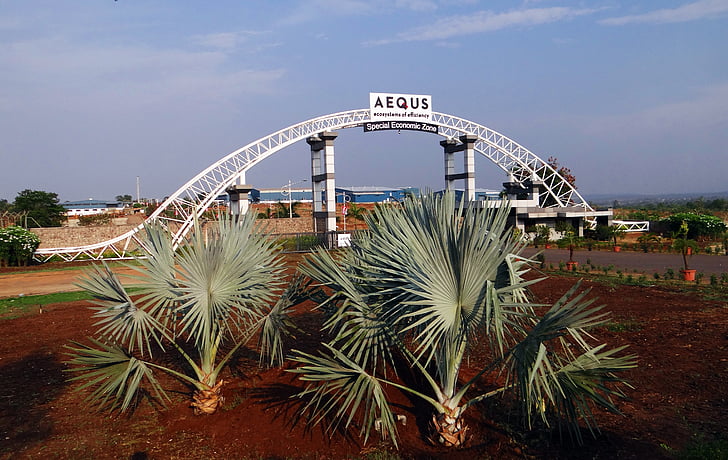 aequs sez, spesielle økonomiske sone, produksjon, gate, Bismarck palm, bismarckia nobilis, Belgaum