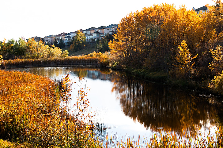 Kanada, rudenį, slėnis, upės, vandens, atspindys