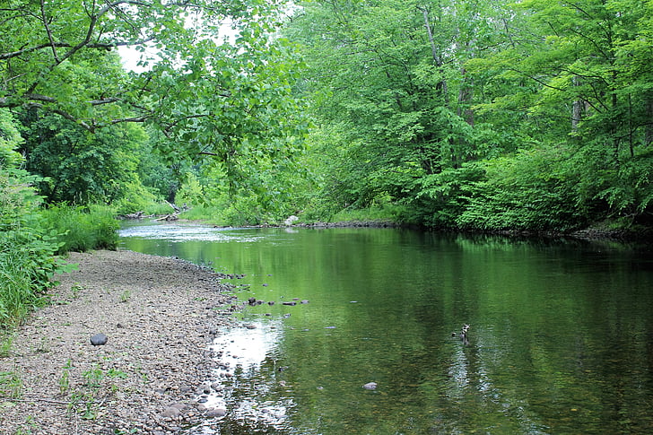 verde, río lento, agua, naturaleza, árbol, Lago, reflexión