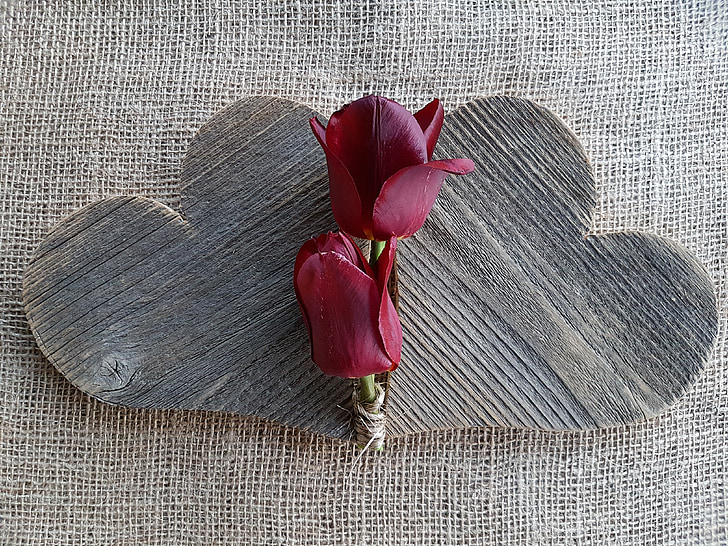srce, tulipani, ljubav, cvijeće