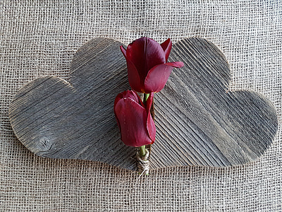 corazón, tulipanes, amor, flores