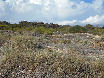 dunes, paysage de dunes, vide, l’encrassement, sable fin, reste, calme