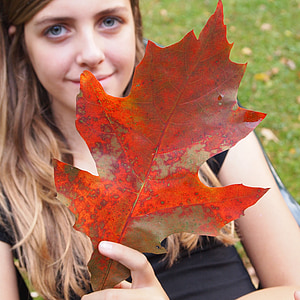 sheet, autumn, girl, stick, nature, oak tree, red