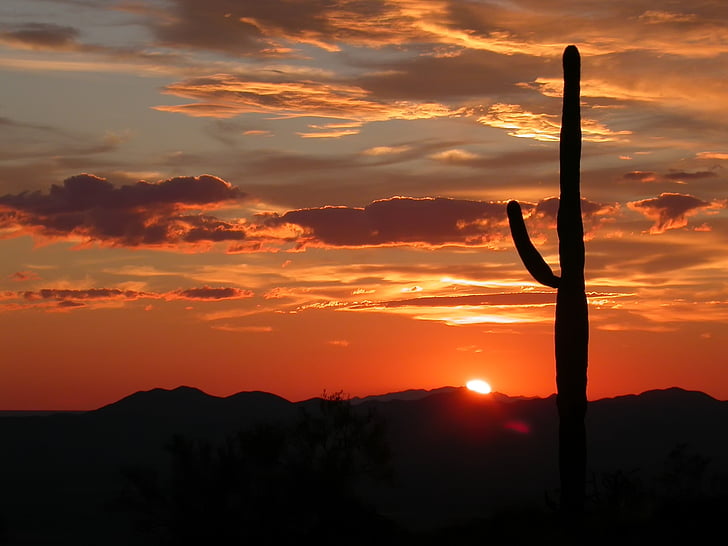 Arizona, krajobraz, sceniczny, zachód słońca, niebo, chmury, piękne
