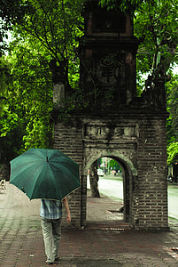 Vietnam, Hanoi, Llac Hoankiem, l'estiu, dia, home, verd