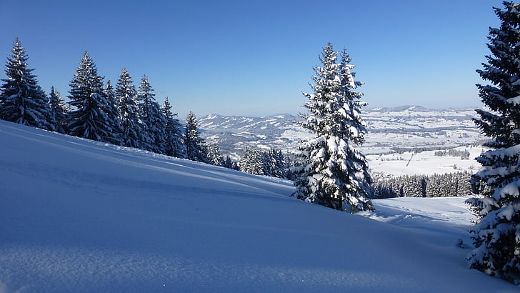 Allgäu, greened, téli, hó, nap, hideg, fagy