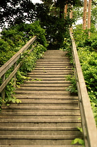 kāpnes, Žagars, veids, kā, atpakaļ uz sākumu, Somija, daba, gājēju ceļš
