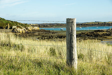 france, normandy, chausey island