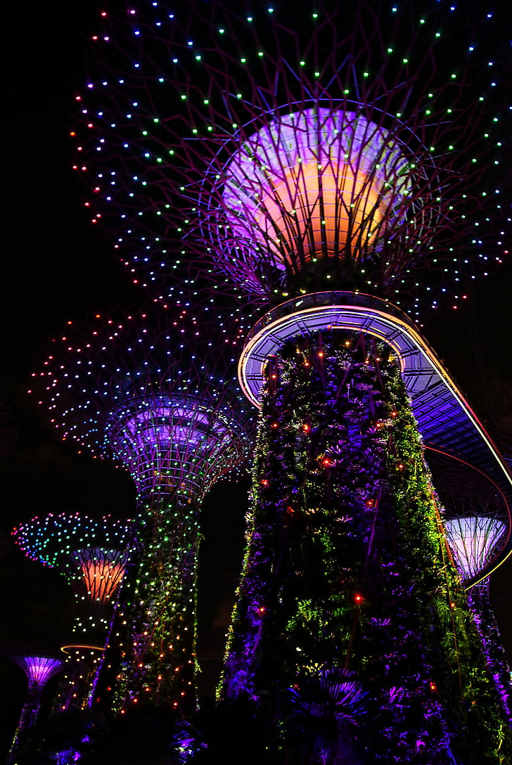 zahrada u zálivu, Singapur, hudební světlo, strom, barevné, zahrada, parku