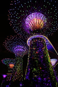giardino di Baia, Singapore, luce musicale, albero, colorato, giardino, Parco