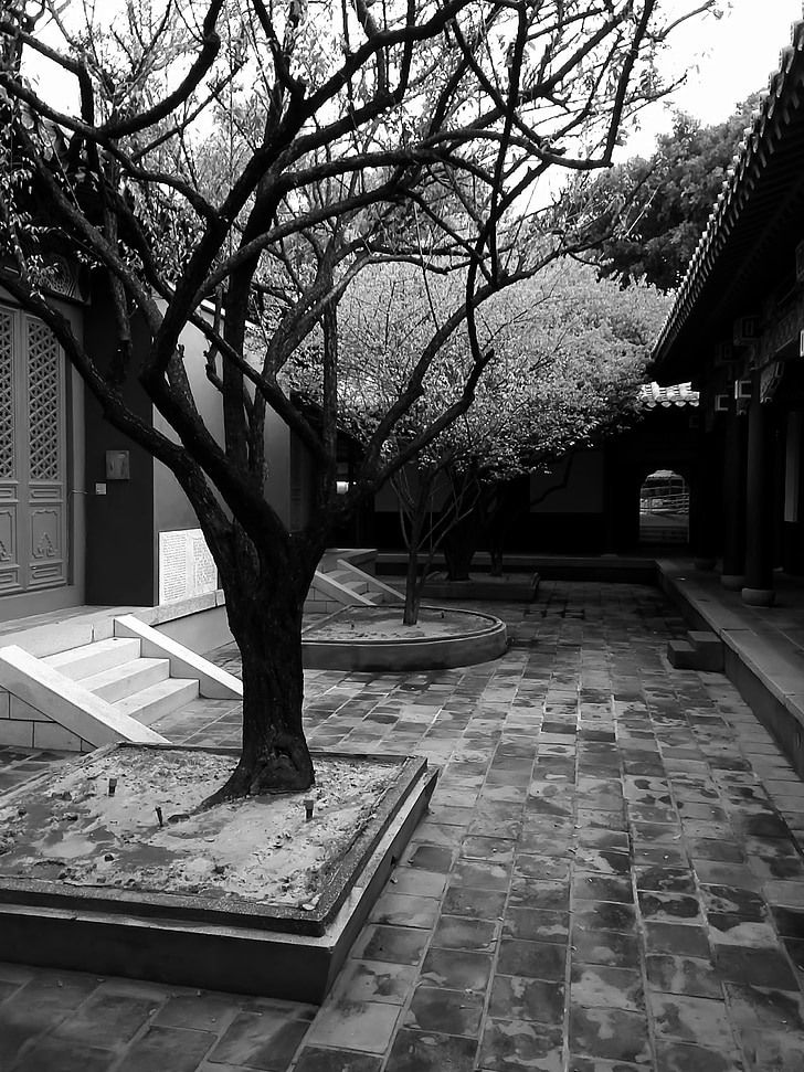 black and white, trees, taiwan, historical sites, temple, grounds, china wind