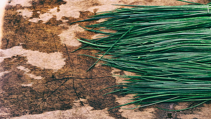 chives, food, herbs, ingredient, green, cooking, bunch