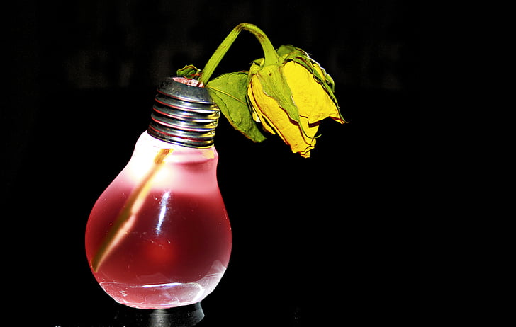 electro smoke, rose, withered, pear, light bulb, red, yellow