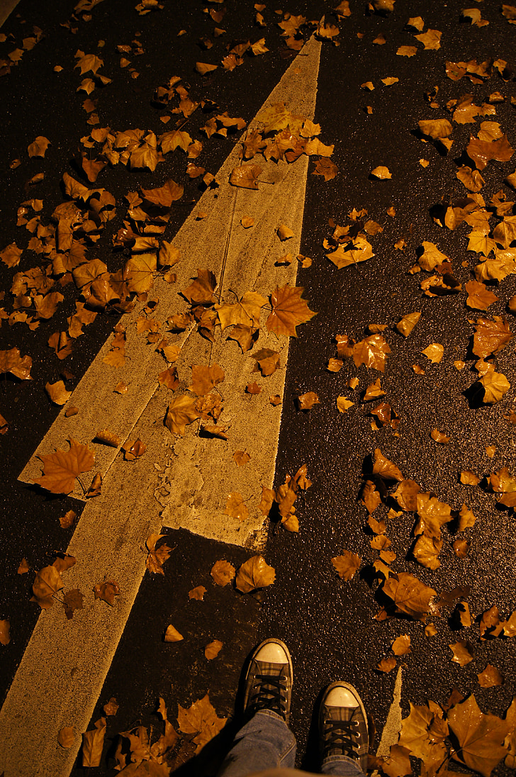 arrow, shoes, autumn, road, night, leaf, towards