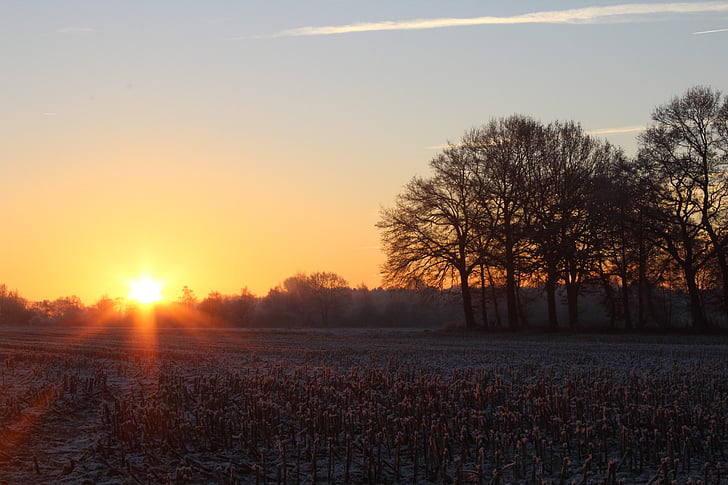 sunrise, winter, sun, tree, landscape, morgenstimmung, skies