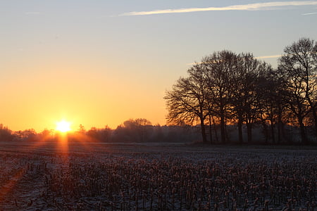 Восход, Зима, Солнце, дерево, пейзаж, morgenstimmung, небо