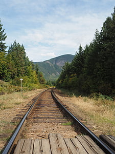 Kanada, vasúti, pálya, a vonat, vasúti pálya, szállítás, természet