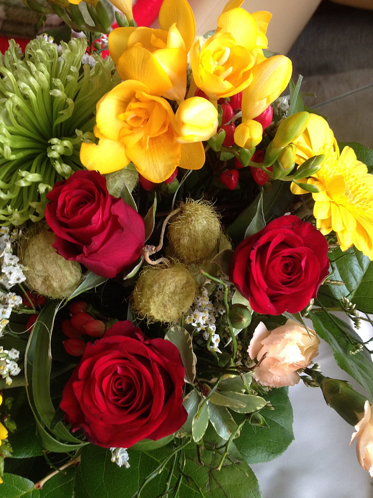 Roses, vermell, sia, groc, Strauss, flors, roses vermelles