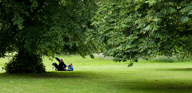 picnic, mother, children, park, mature trees, grass, woodland