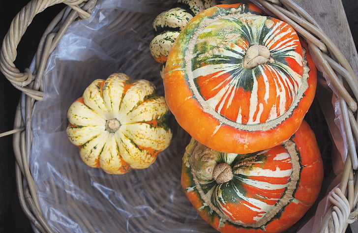gourds, vegetable, basket, food, harvest, organic, decoration