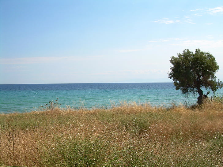 Неа Скиони, Халкидики, Гърция, ливада, море, вода, синьо