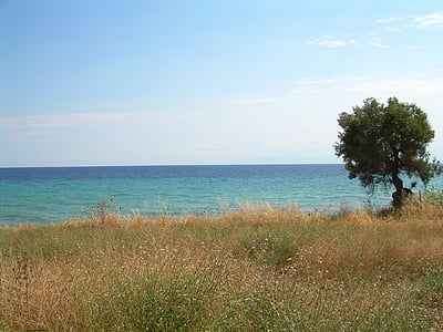 Nea skioni, Chalkidiki, Grécia, Prado, mar, água, azul