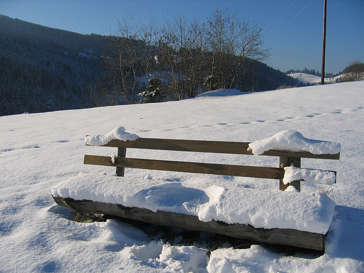 Schwarzwald, Bank, vinter, sitta, resten, Reprint, snö
