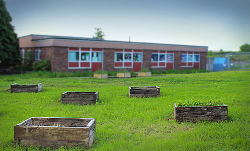 Школа, Начальная школа, Ист-Килбрайд, Южный парк, на открытом воздухе, Зеленая трава, трава
