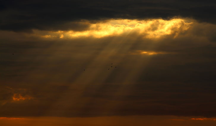 cloud, storm, twilight, sun, sky, landscape, nature