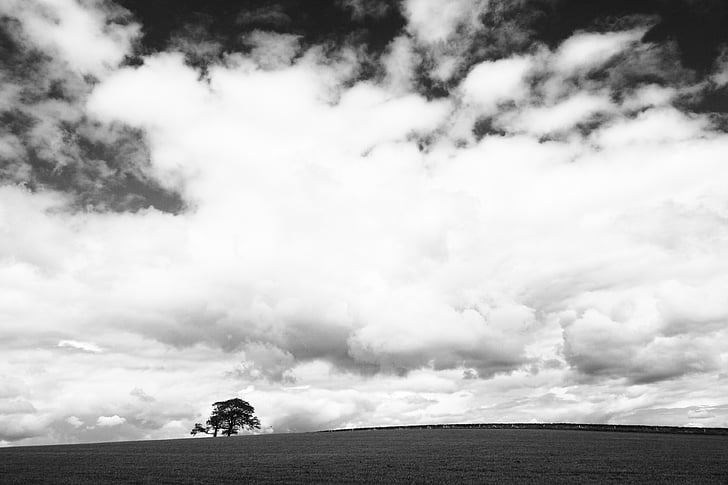 Skyscape, nuvens, árvore solitária, tempo, céu, nublado, cloudscape