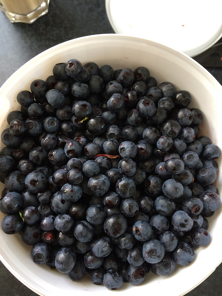 blåbär, bärplockning, Blueberry hink