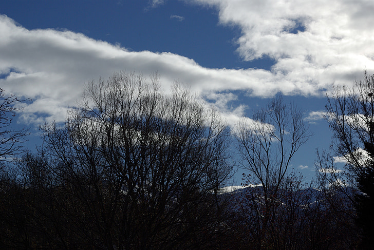 cielo, albero, Nuvola, inverno, natura, blu, paesaggio