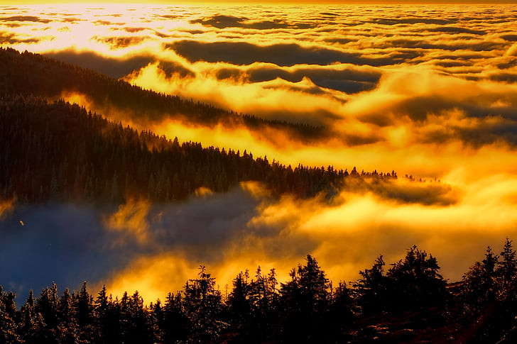 Čekijos Respublika, kraštovaizdžio, vaizdingas, siluetai, saulėtekio, Aušros, ryte