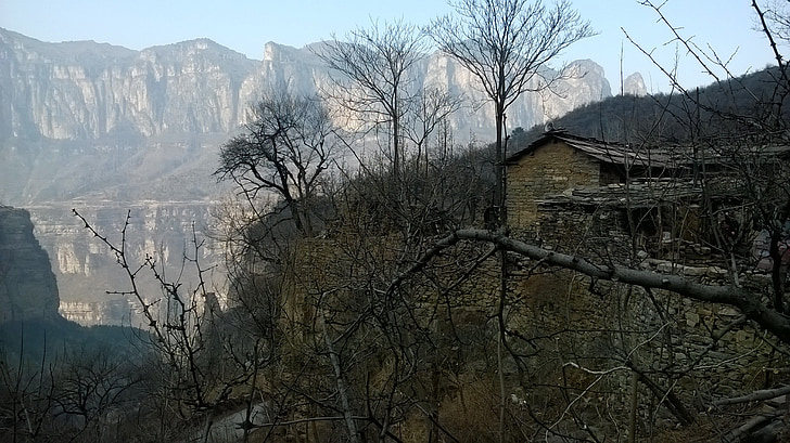 aldea de la montaña, montaña, árbol